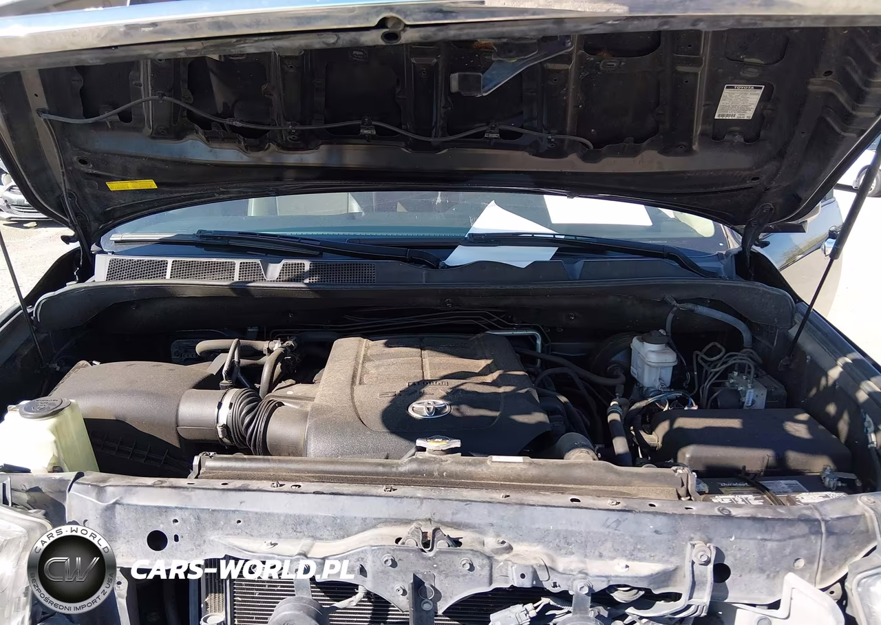 2016 Toyota Sequoia Limited 5.7L V8 VIN:5TDKY5G18GS064307 - 10