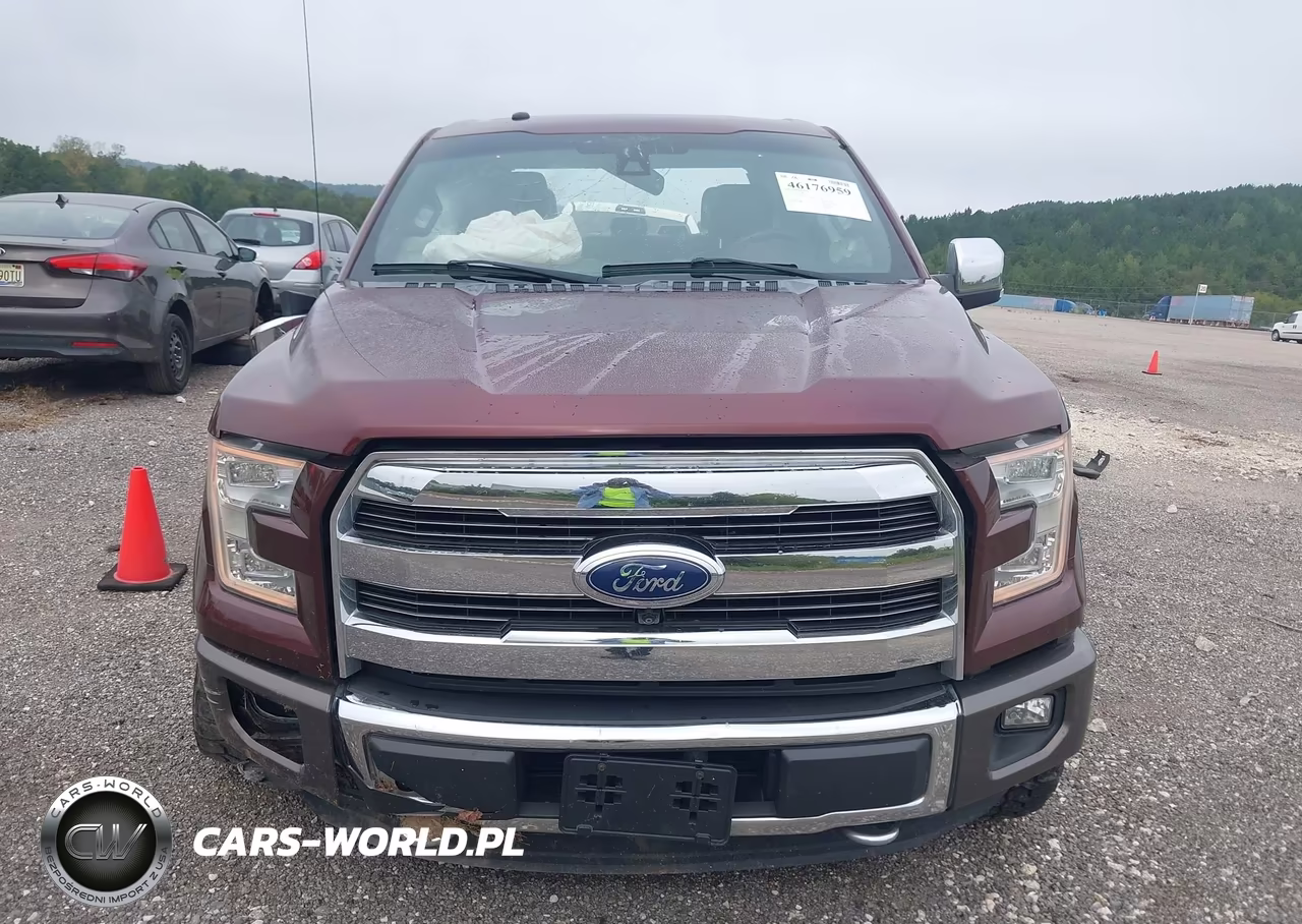 2016 Ford F-150 King Ranch VIN:1FTEW1EG0GFB69717 - 12