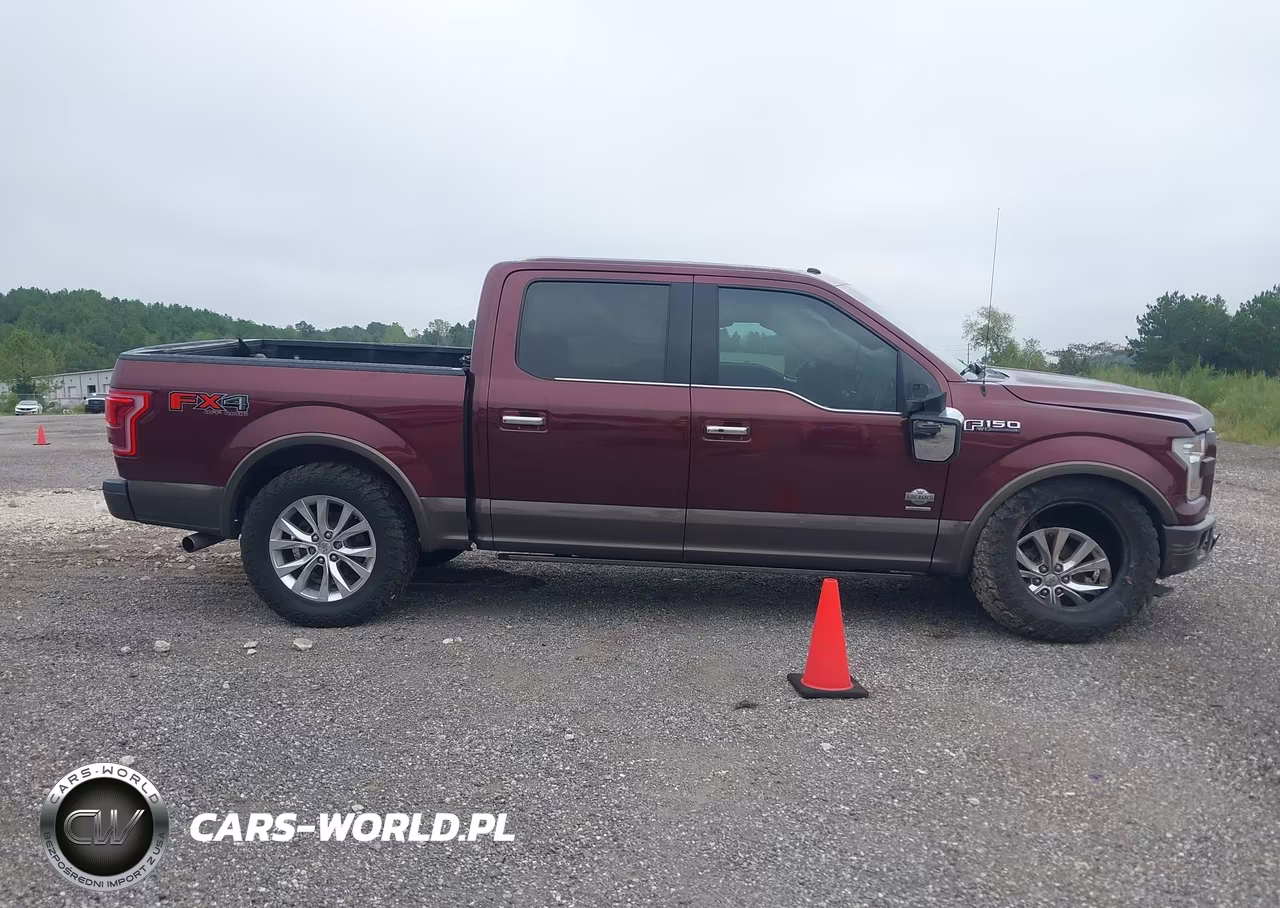 2016 Ford F-150 King Ranch VIN:1FTEW1EG0GFB69717 - 13