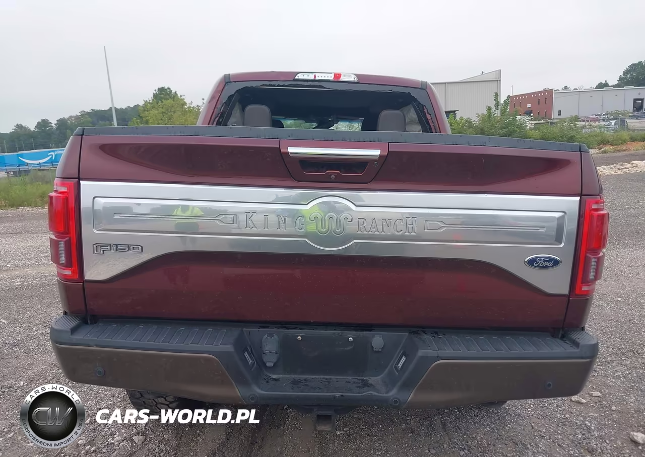 2016 Ford F-150 King Ranch VIN:1FTEW1EG0GFB69717 - 16
