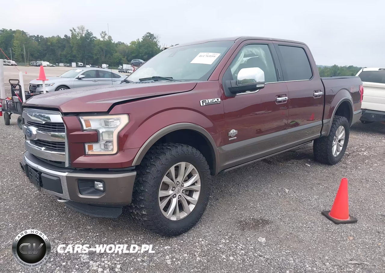 2016 Ford F-150 King Ranch VIN:1FTEW1EG0GFB69717 - 2