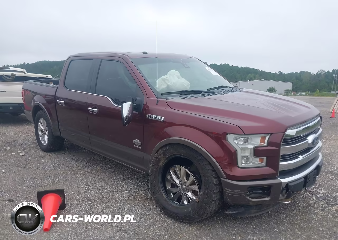 2016 Ford F-150 King Ranch VIN:1FTEW1EG0GFB69717 - 6