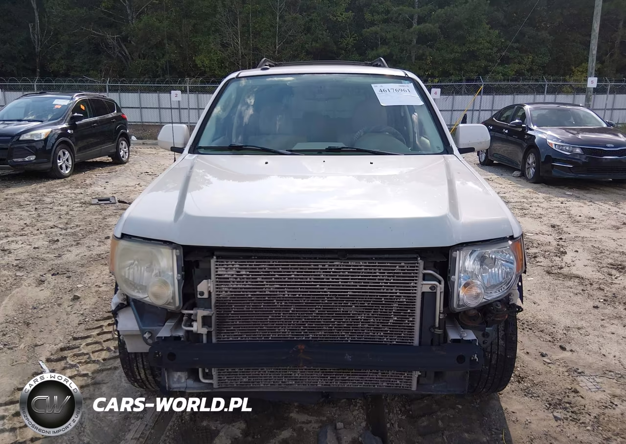 2010 Ford Escape Limited VIN:1FMCU0EG2AKB61054 - 6