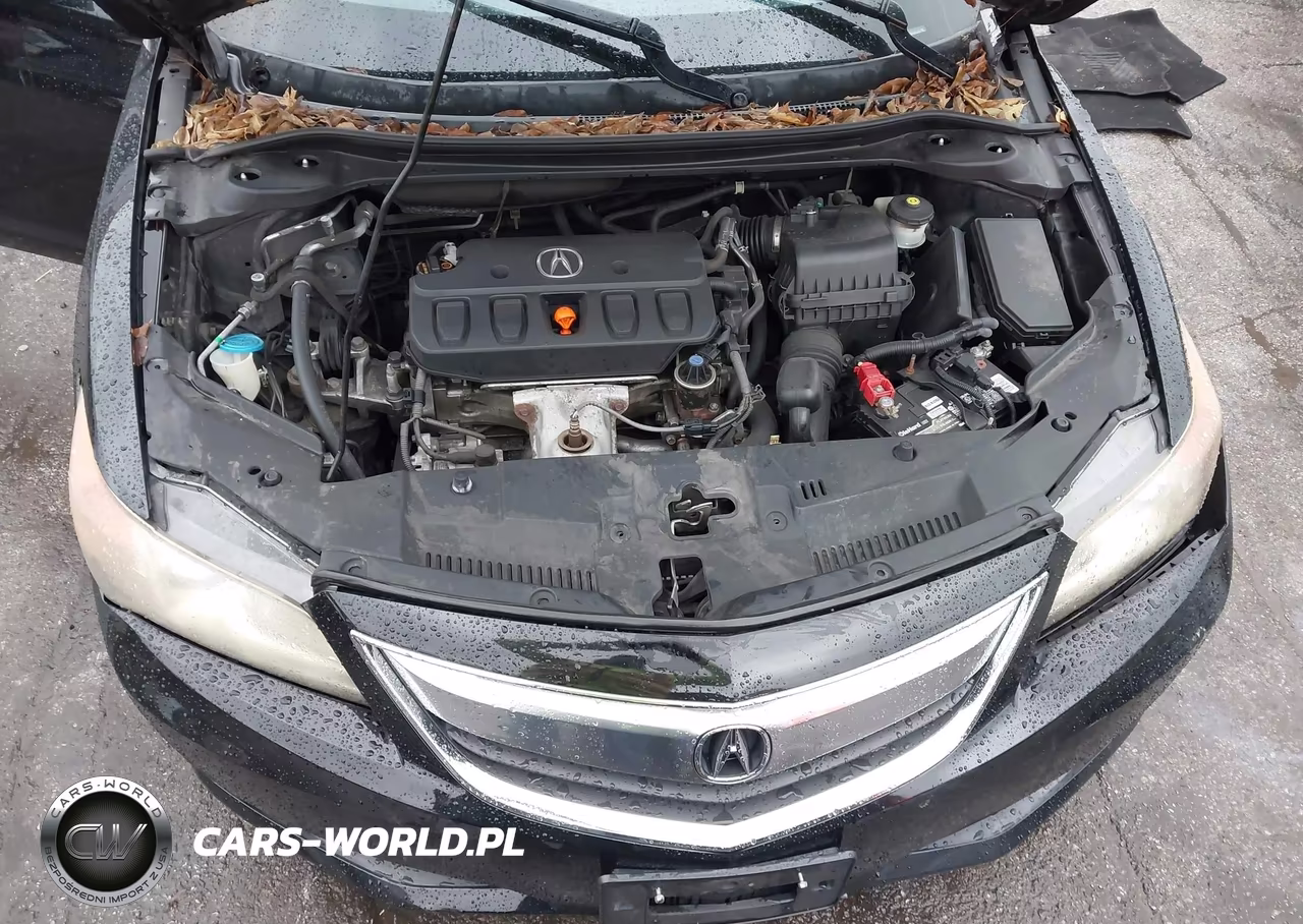 2013 Acura Ilx 2.0L VIN:19VDE1F55DE016809 - 10