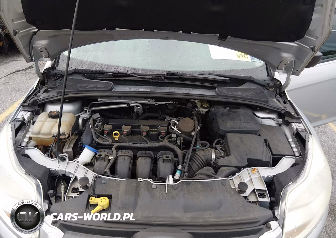 2013 Ford Focus S VIN:1FADP3E29DL249691 - 10
