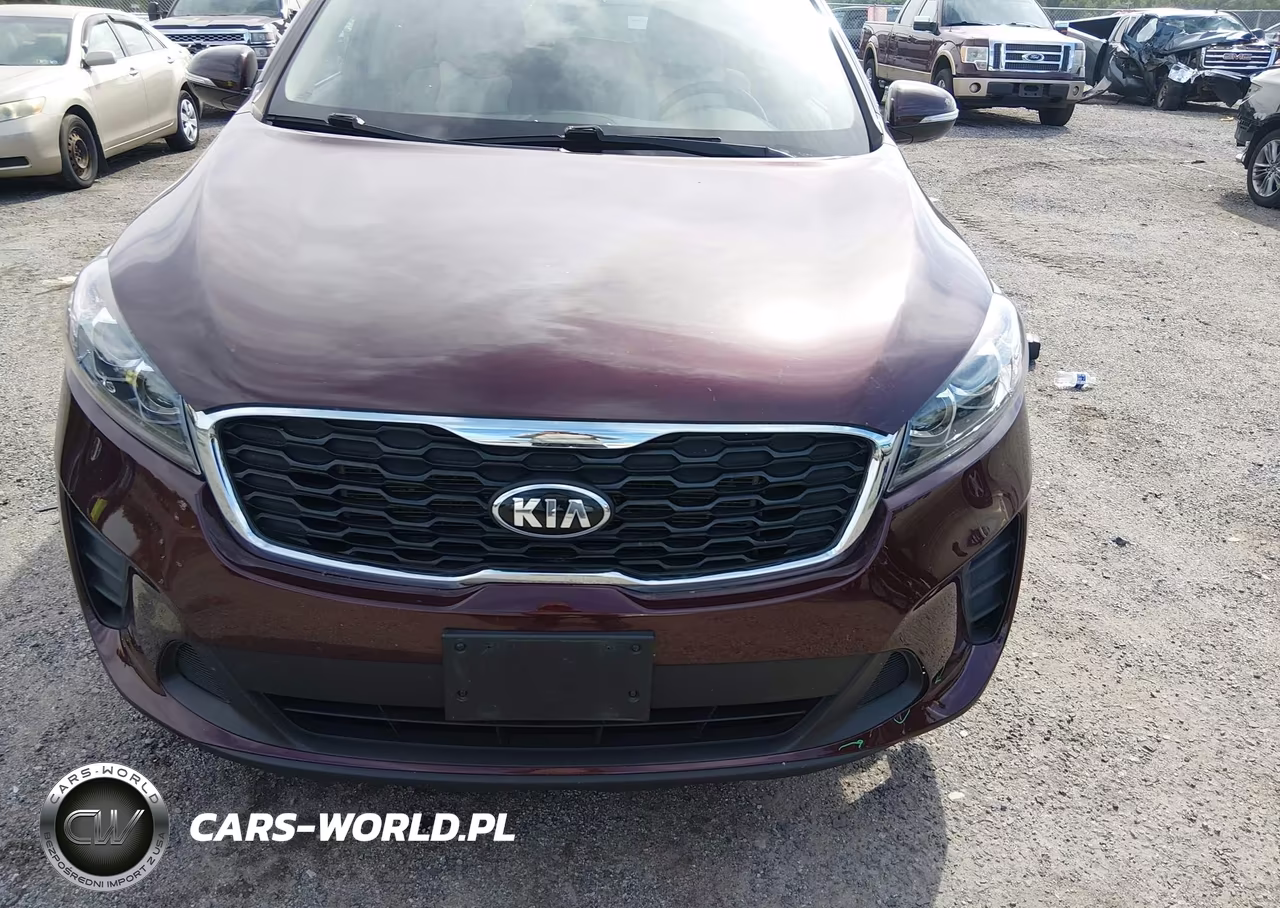 2019 Kia Sorento 2.4L Lx VIN:5XYPGDA38KG522043 - 12