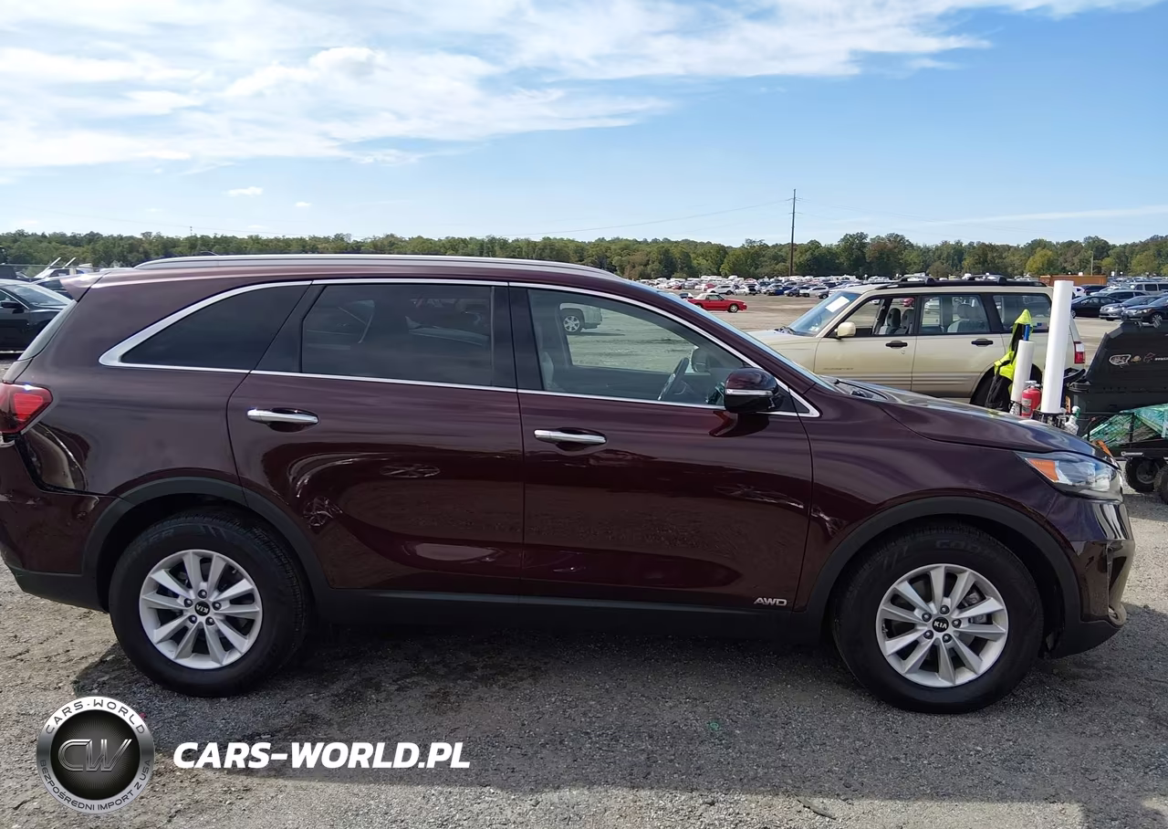 2019 Kia Sorento 2.4L Lx VIN:5XYPGDA38KG522043 - 13