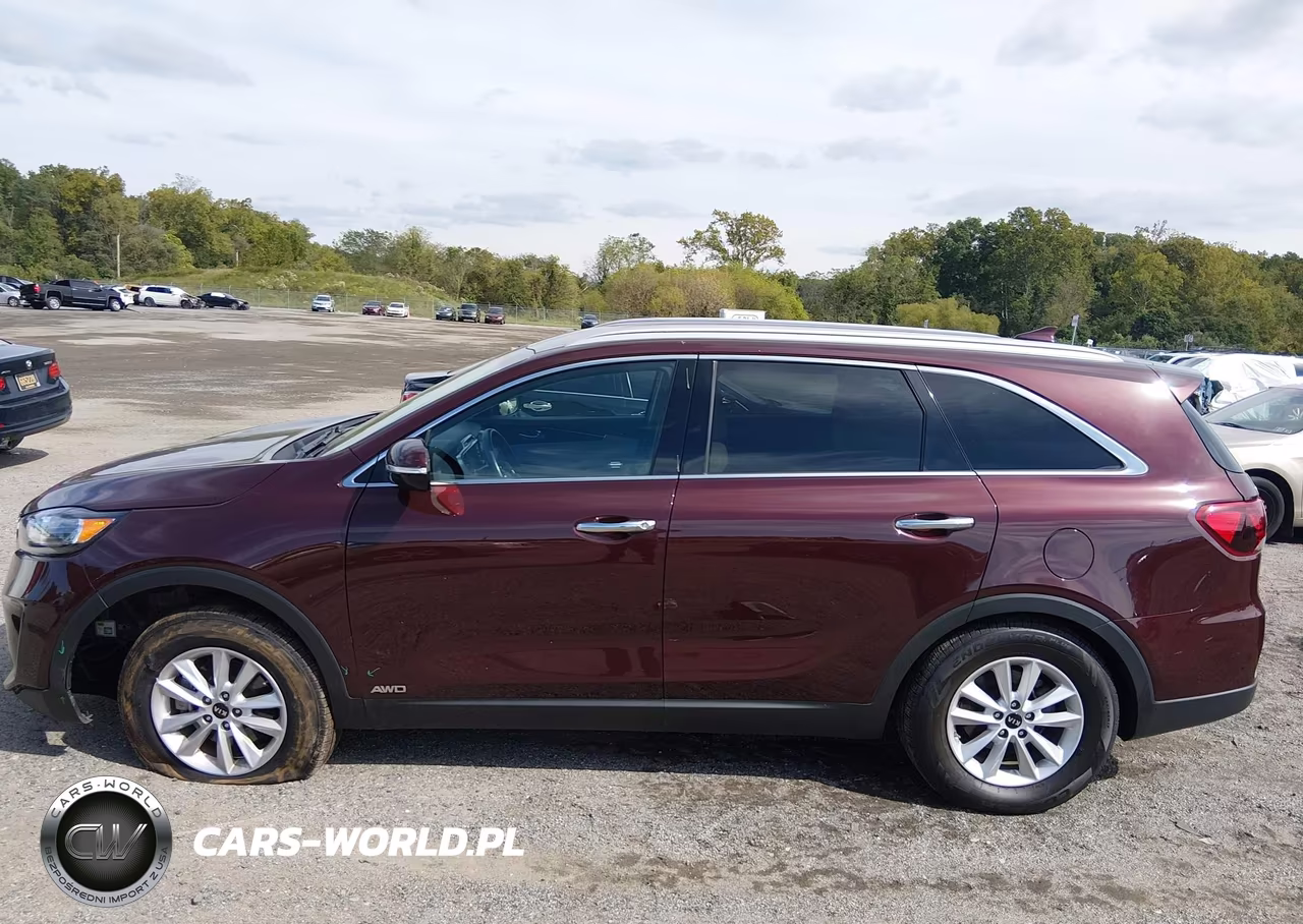 2019 Kia Sorento 2.4L Lx VIN:5XYPGDA38KG522043 - 14