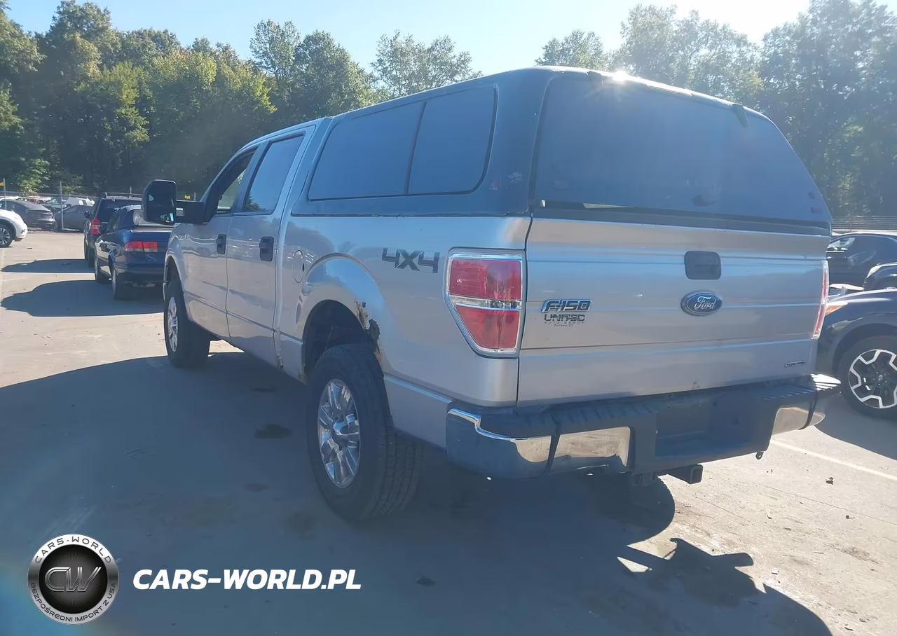 2012 Ford F-150 Xlt VIN:1FTFW1EF5CFB75289 - 3