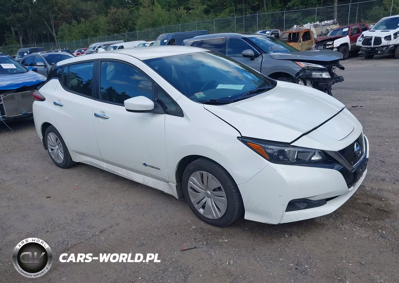 2019 Nissan Leaf S VIN:1N4AZ1CP0KC310634 - 1