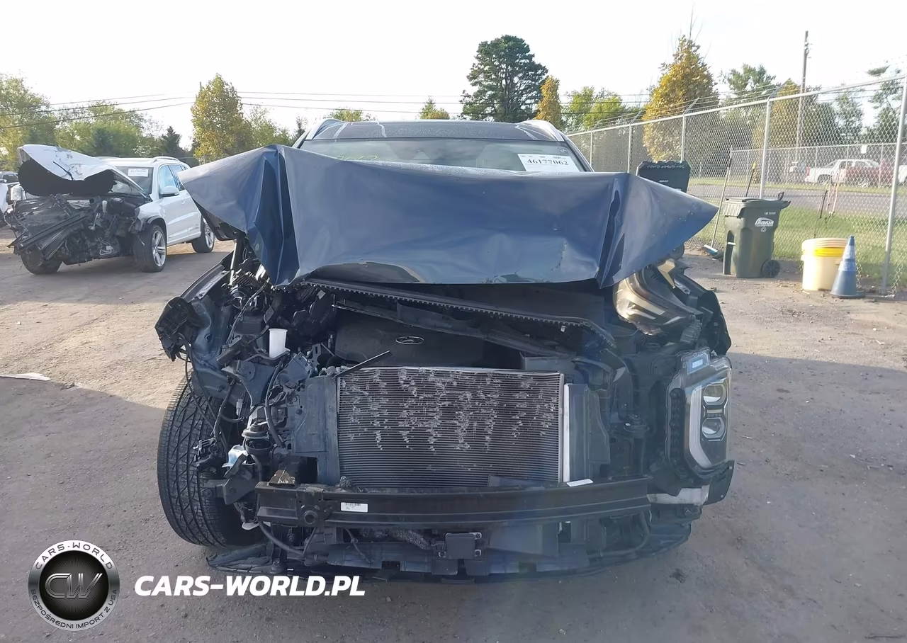2020 Hyundai Palisade Sel VIN:KM8R4DHE9LU090535 - 12