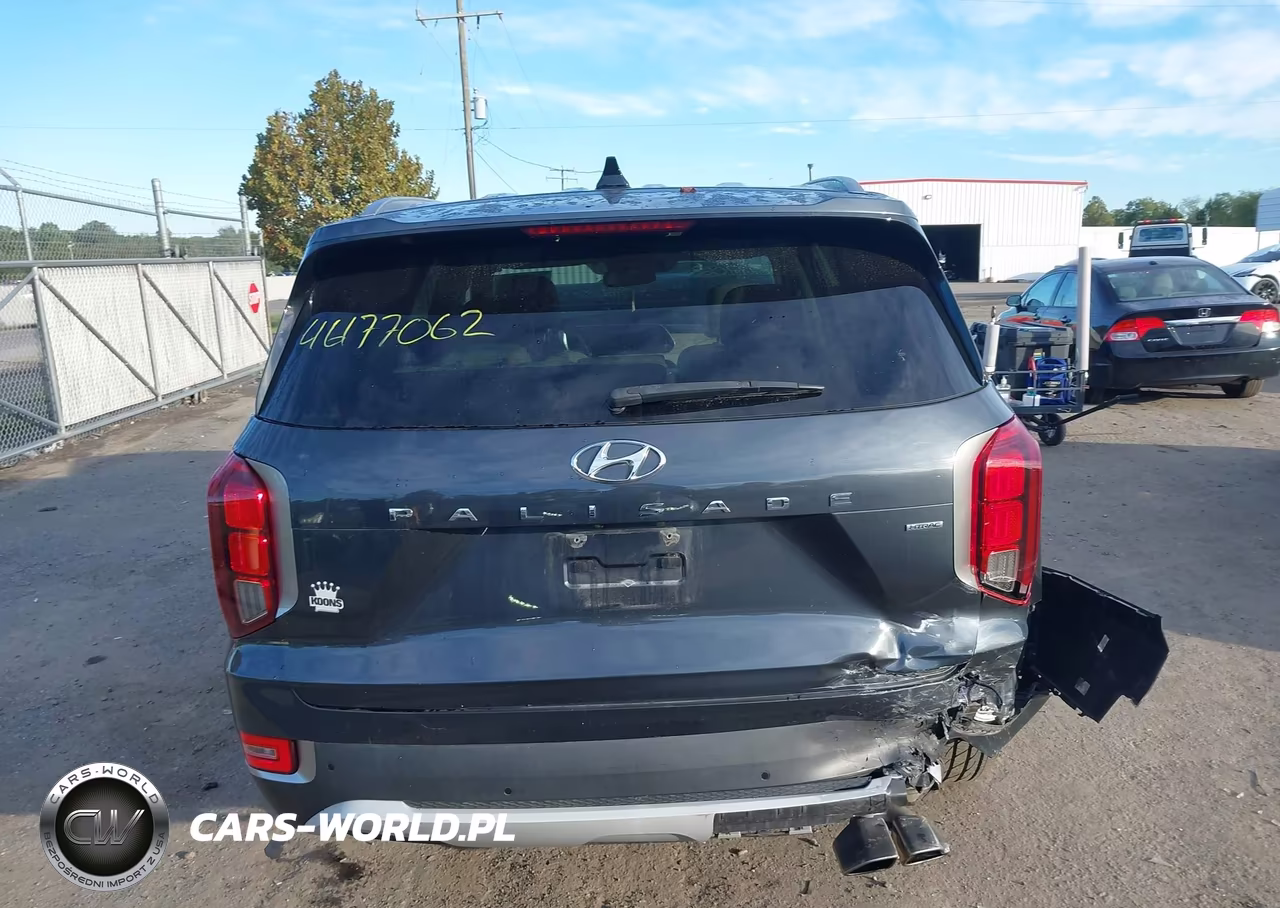 2020 Hyundai Palisade Sel VIN:KM8R4DHE9LU090535 - 16