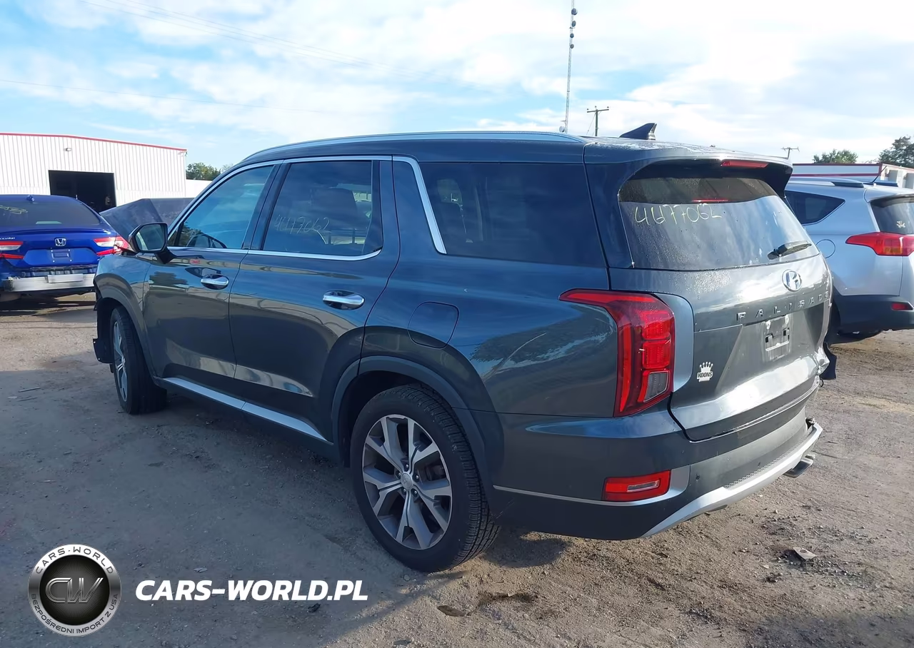 2020 Hyundai Palisade Sel VIN:KM8R4DHE9LU090535 - 3