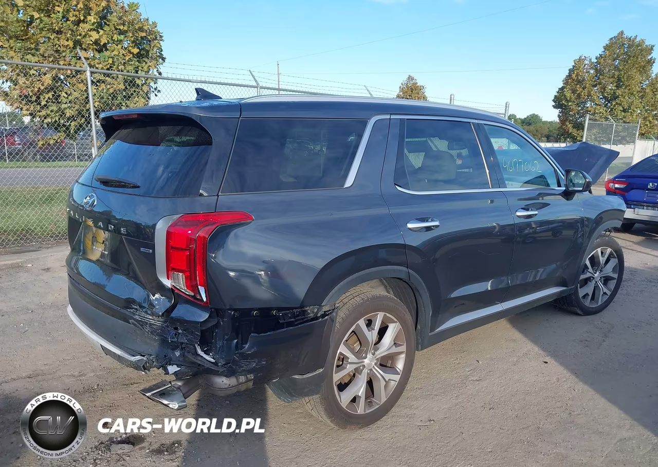 2020 Hyundai Palisade Sel VIN:KM8R4DHE9LU090535 - 4