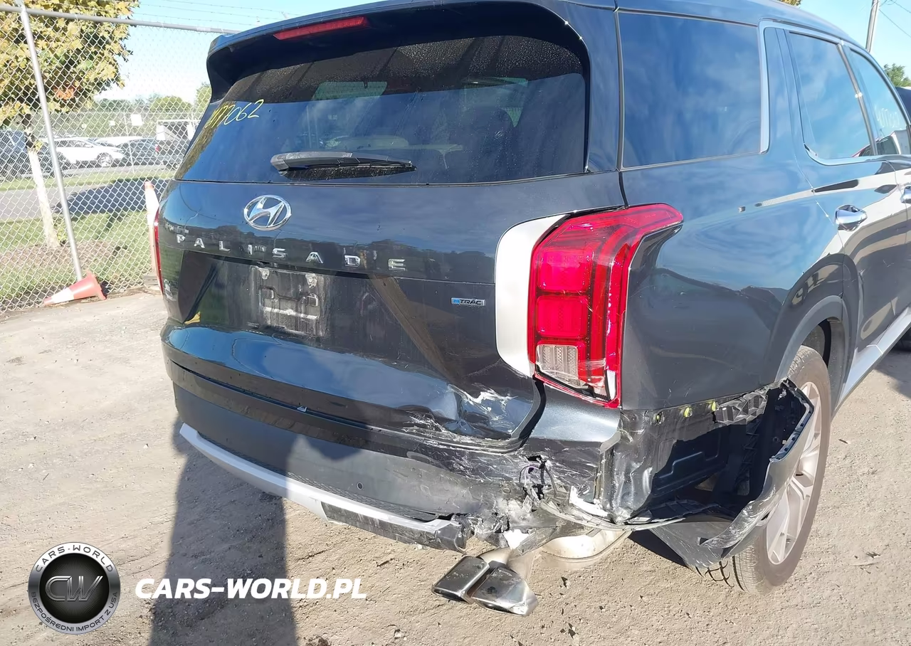 2020 Hyundai Palisade Sel VIN:KM8R4DHE9LU090535 - 6