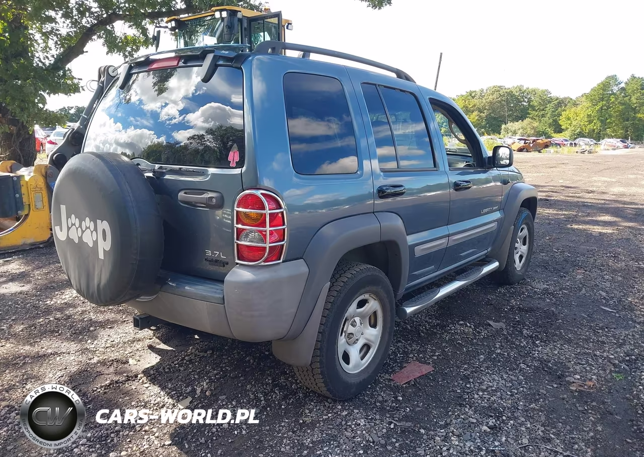 2002 Jeep Liberty Sport VIN:1J4GL48K22W299956 - 4