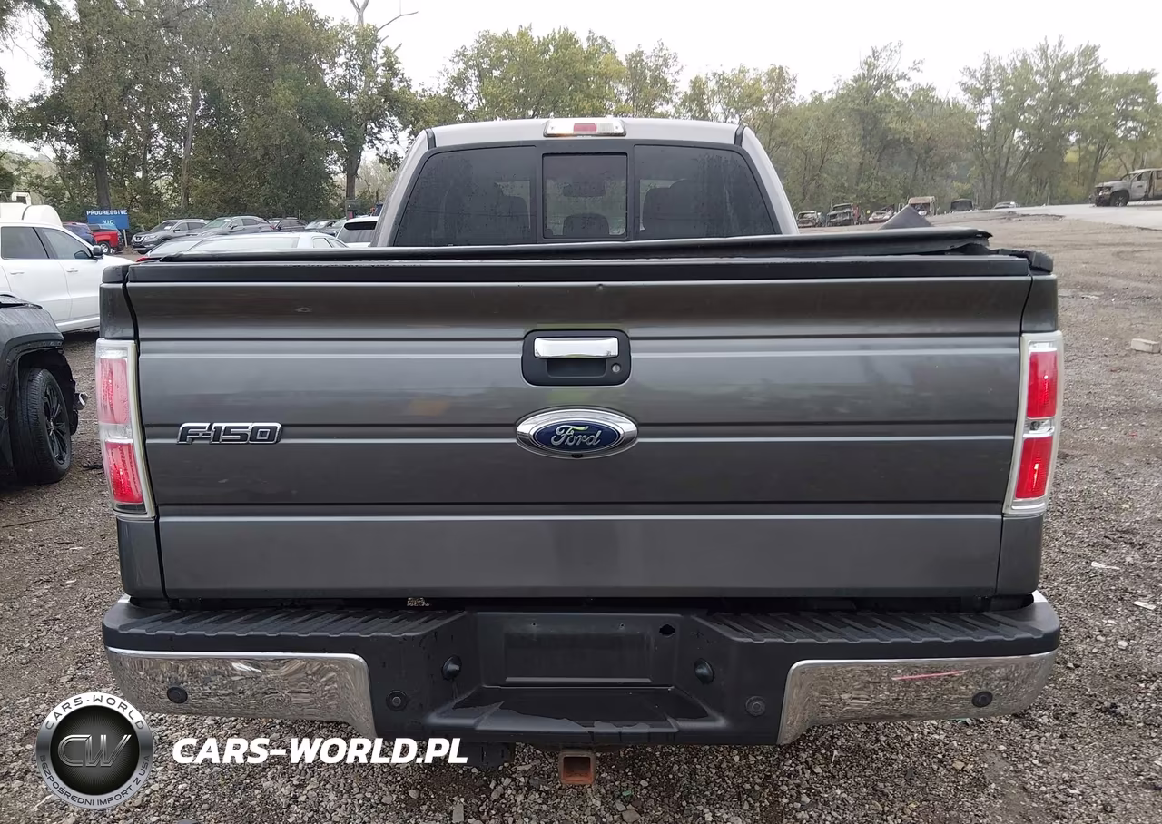 2013 Ford F-150 Xlt VIN:1FTFX1EF4DFC40163 - 16