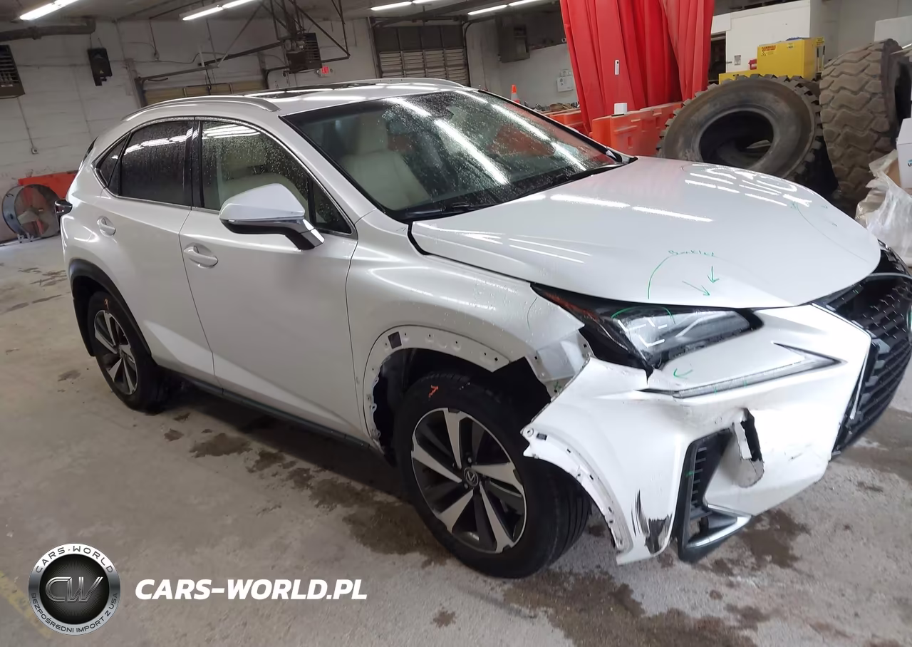 2019 Lexus Nx 300 VIN:JTJBARBZ9K2204077 - 1