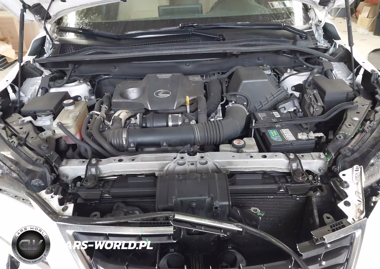 2019 Lexus Nx 300 VIN:JTJBARBZ9K2204077 - 10