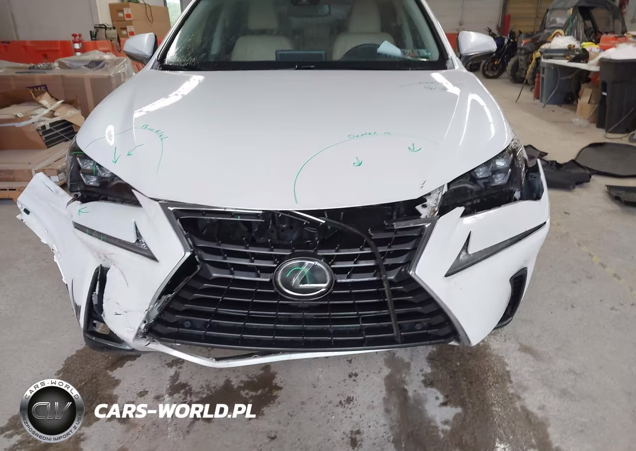 2019 Lexus Nx 300 VIN:JTJBARBZ9K2204077 - 12