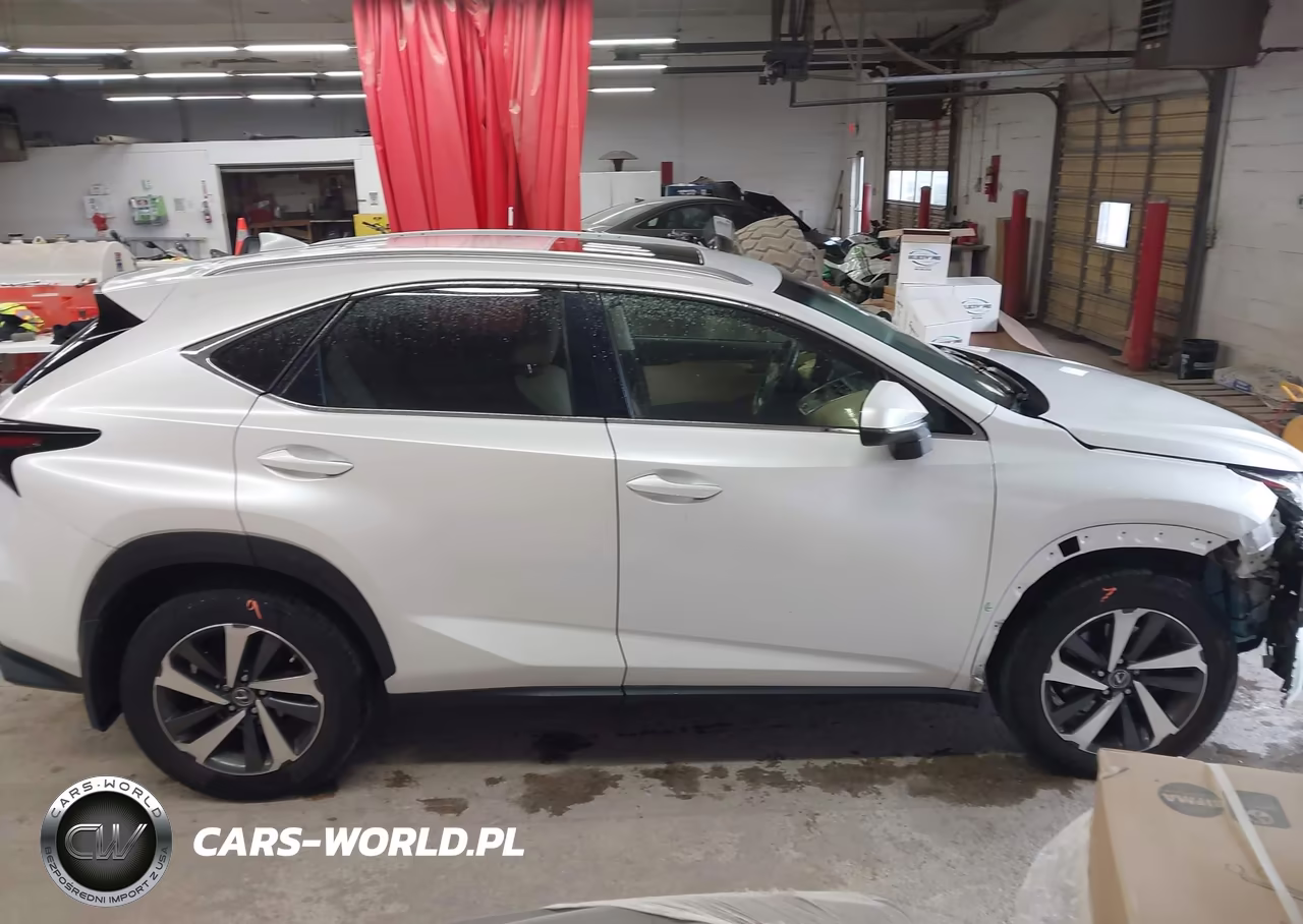 2019 Lexus Nx 300 VIN:JTJBARBZ9K2204077 - 13