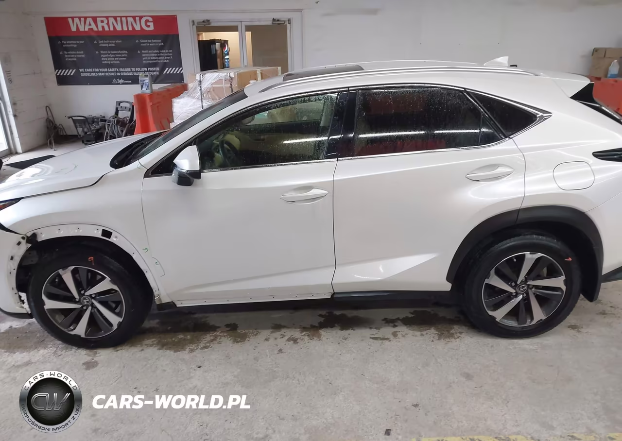 2019 Lexus Nx 300 VIN:JTJBARBZ9K2204077 - 14