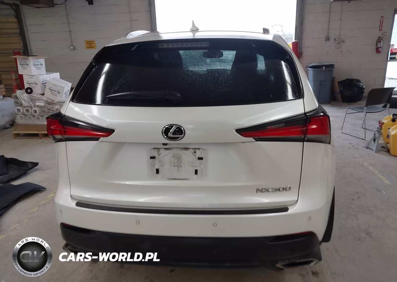 2019 Lexus Nx 300 VIN:JTJBARBZ9K2204077 - 16