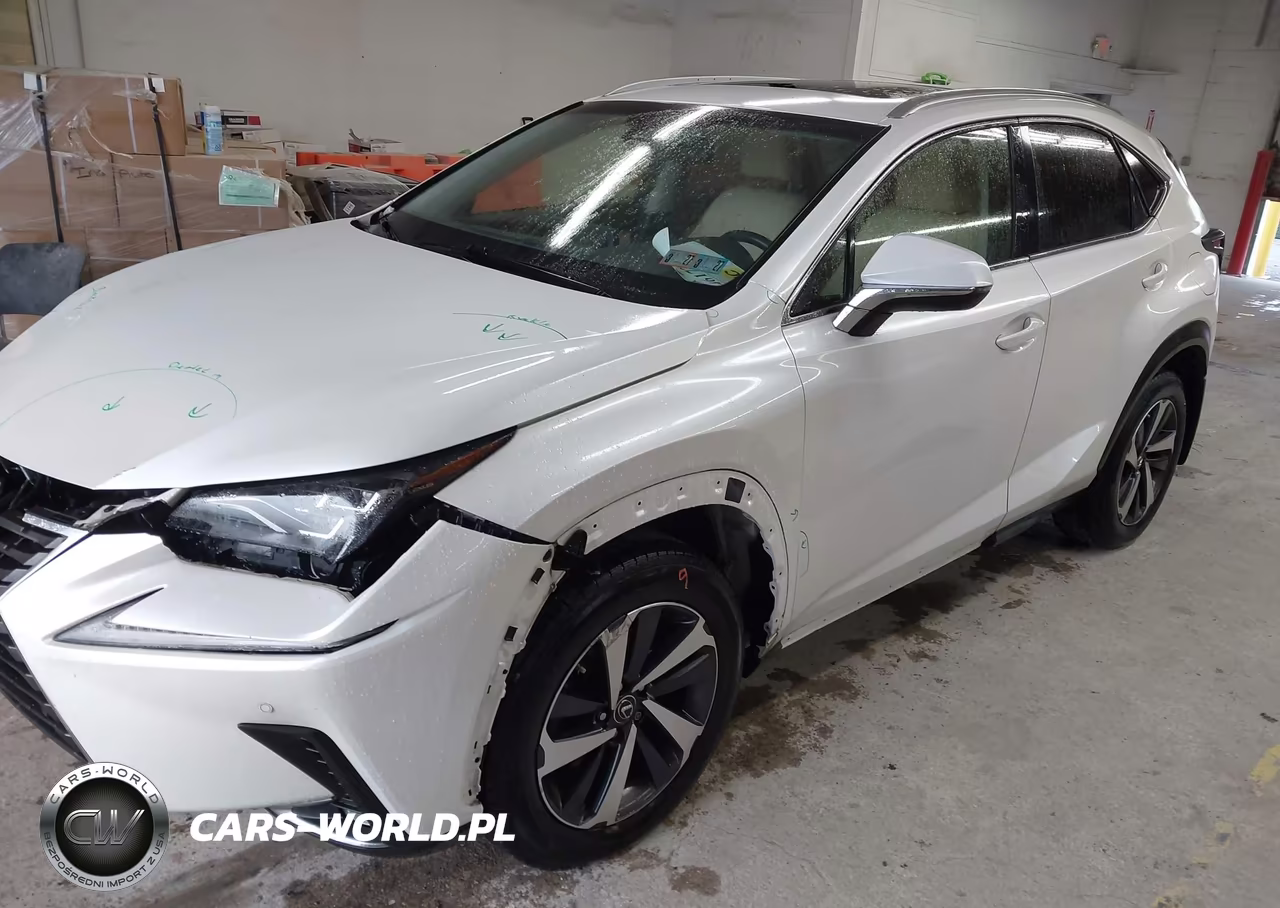 2019 Lexus Nx 300 VIN:JTJBARBZ9K2204077 - 2