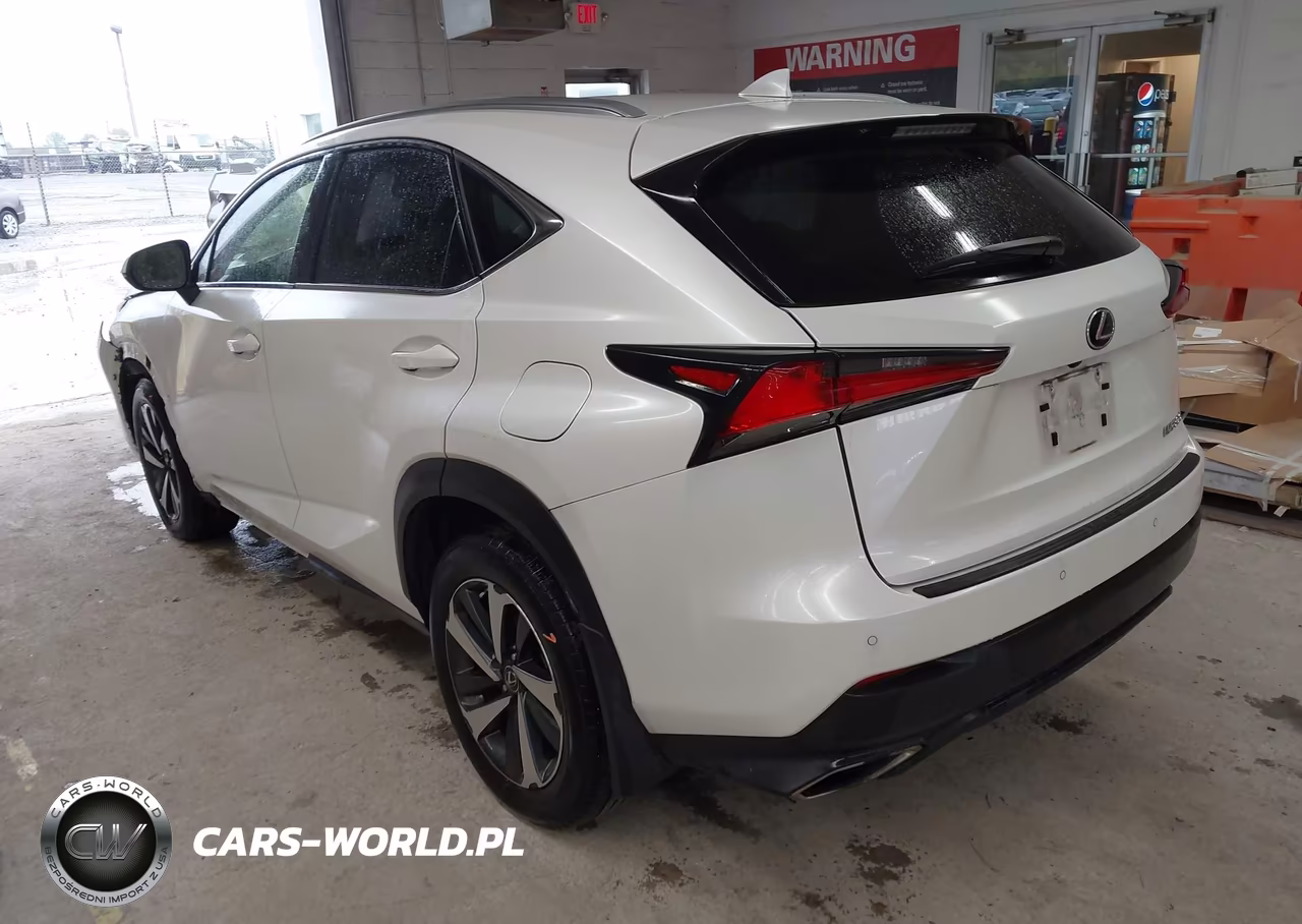 2019 Lexus Nx 300 VIN:JTJBARBZ9K2204077 - 3