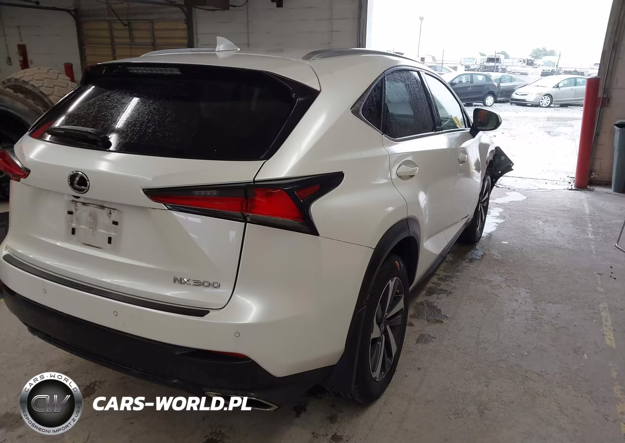 2019 Lexus Nx 300 VIN:JTJBARBZ9K2204077 - 4