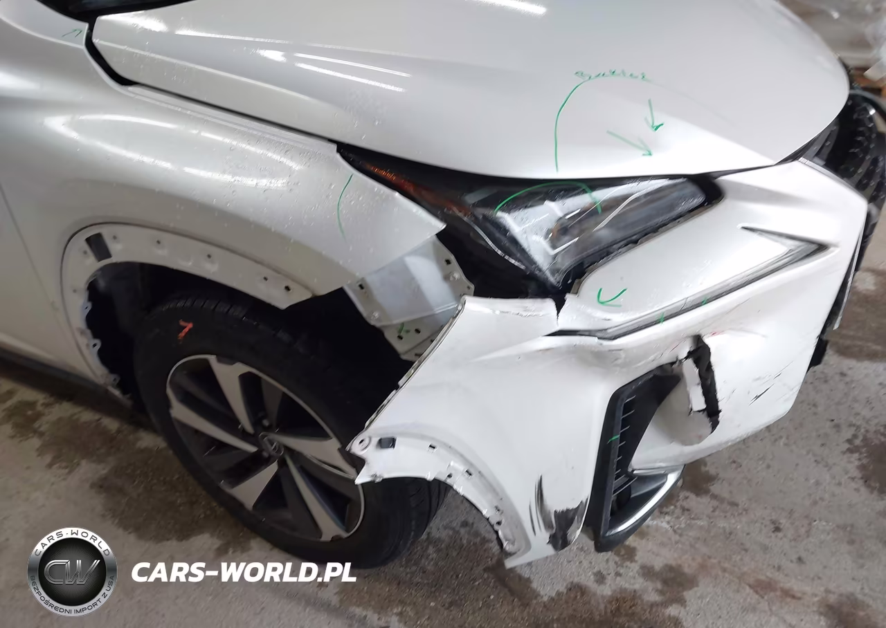 2019 Lexus Nx 300 VIN:JTJBARBZ9K2204077 - 6
