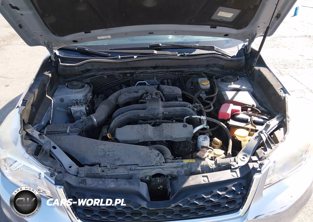 2015 Subaru Forester 2.5I Premium VIN:JF2SJADC6FH820854 - 10