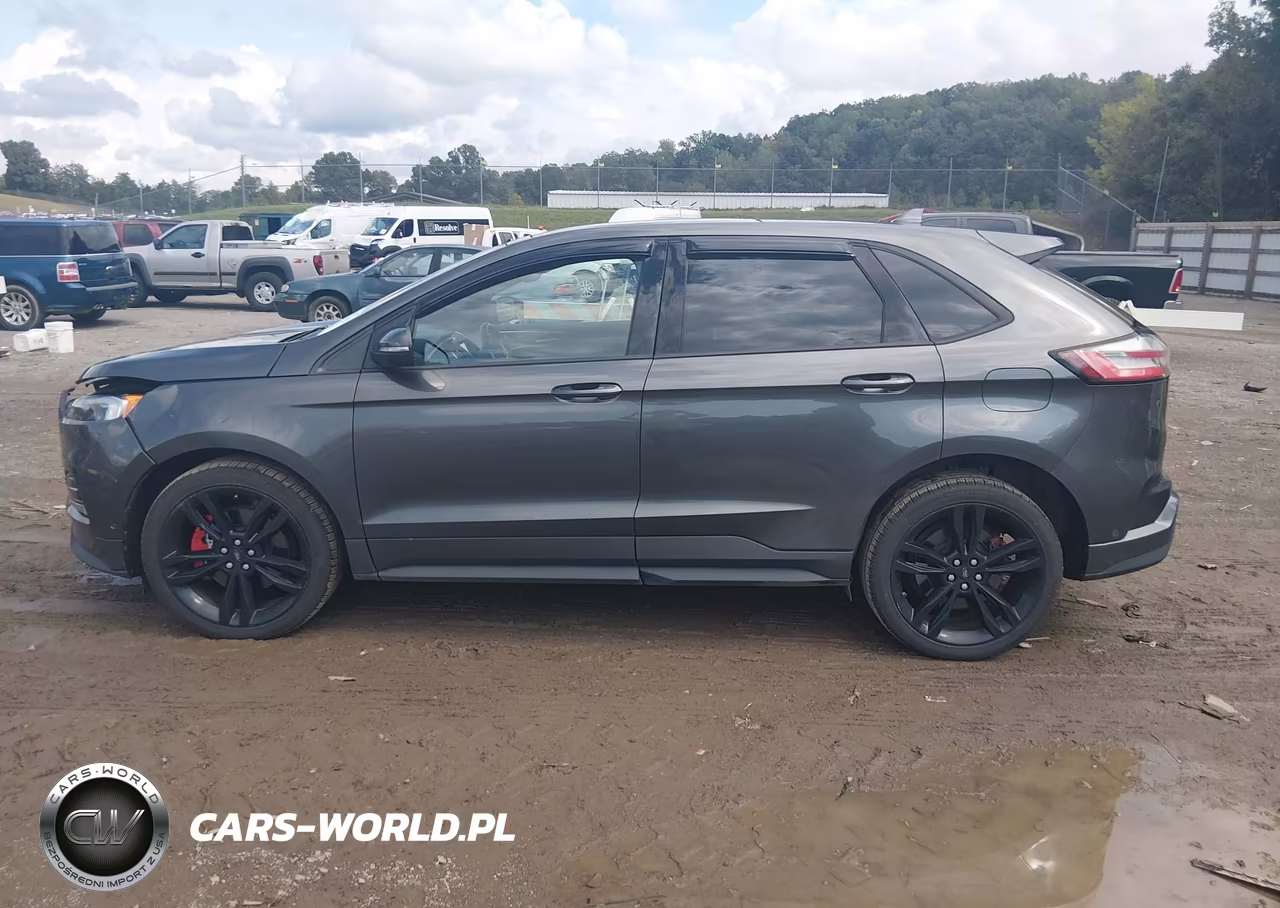 2019 Ford Edge St VIN:2FMPK4AP5KBB99927 - 14