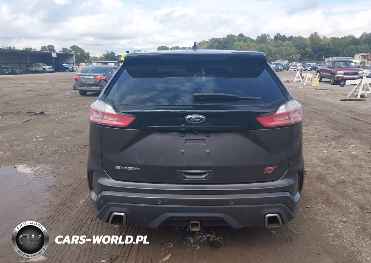 2019 Ford Edge St VIN:2FMPK4AP5KBB99927 - 16
