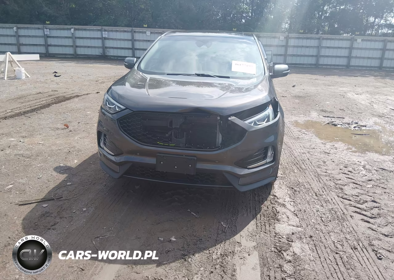 2019 Ford Edge St VIN:2FMPK4AP5KBB99927 - 6