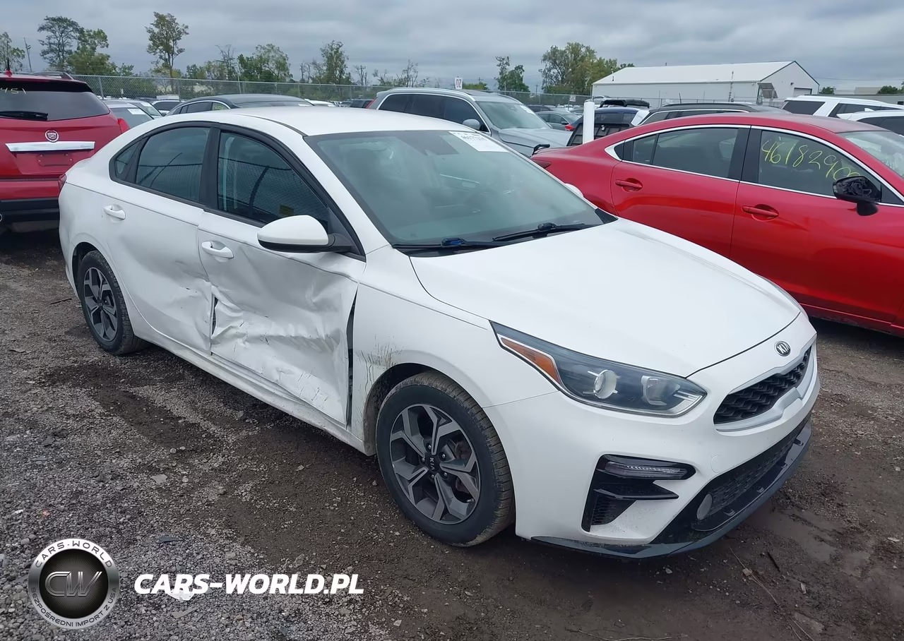 2019 Kia Forte Lxs