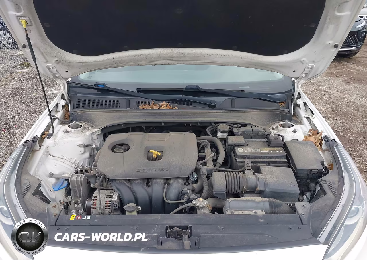 2019 Kia Forte Lxs VIN:3KPF24AD2KE074494 - 10