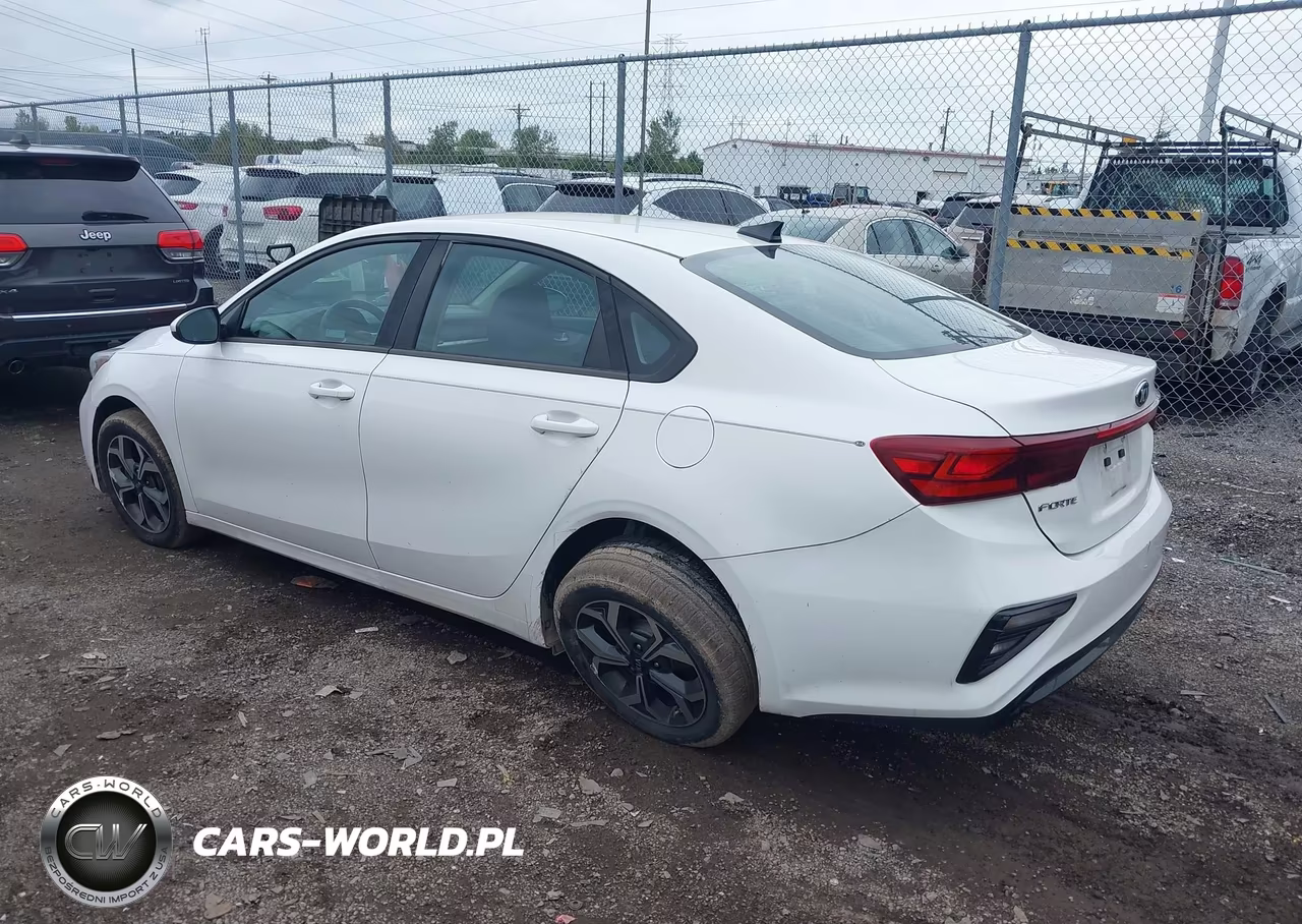 2019 Kia Forte Lxs VIN:3KPF24AD2KE074494 - 3