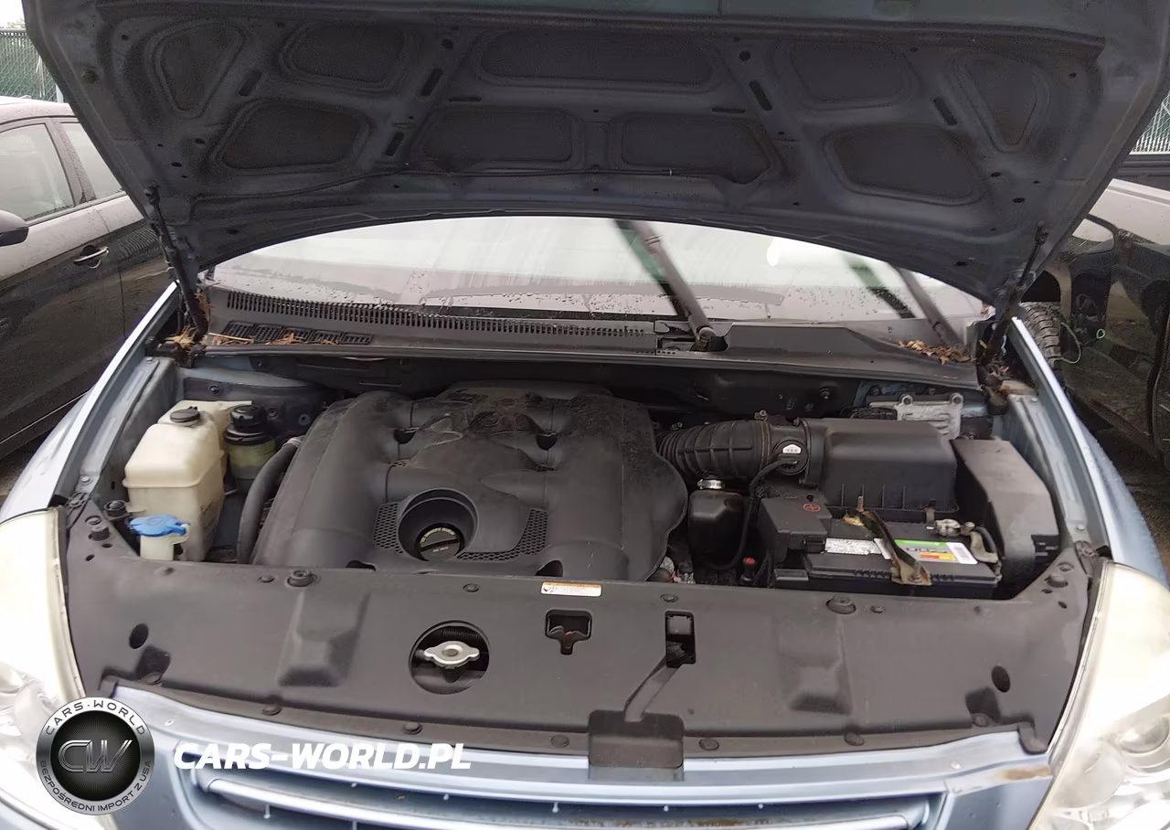 2009 Kia Sedona VIN:KNDMB133896321947 - 10