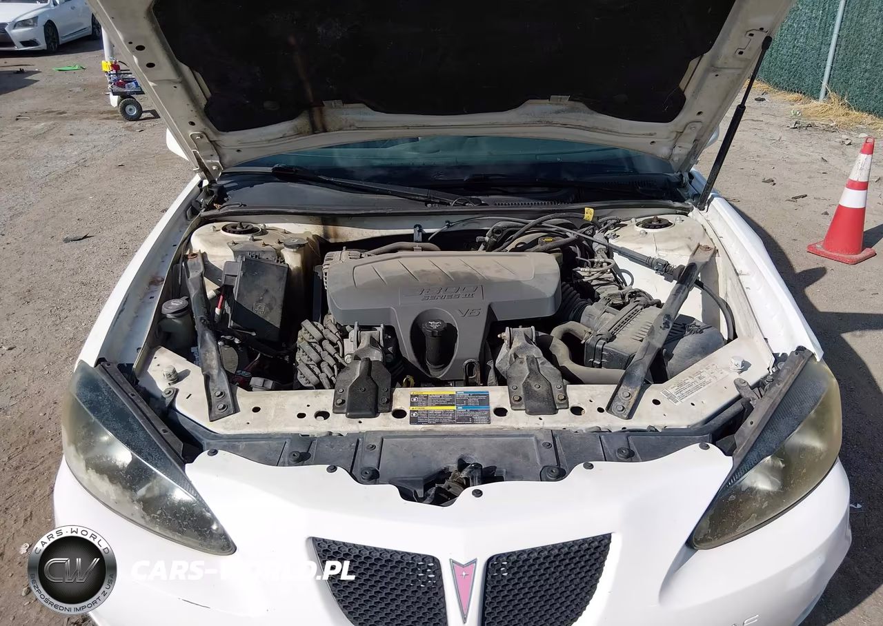 2006 Pontiac Grand Prix VIN:2G2WP552161313489 - 10