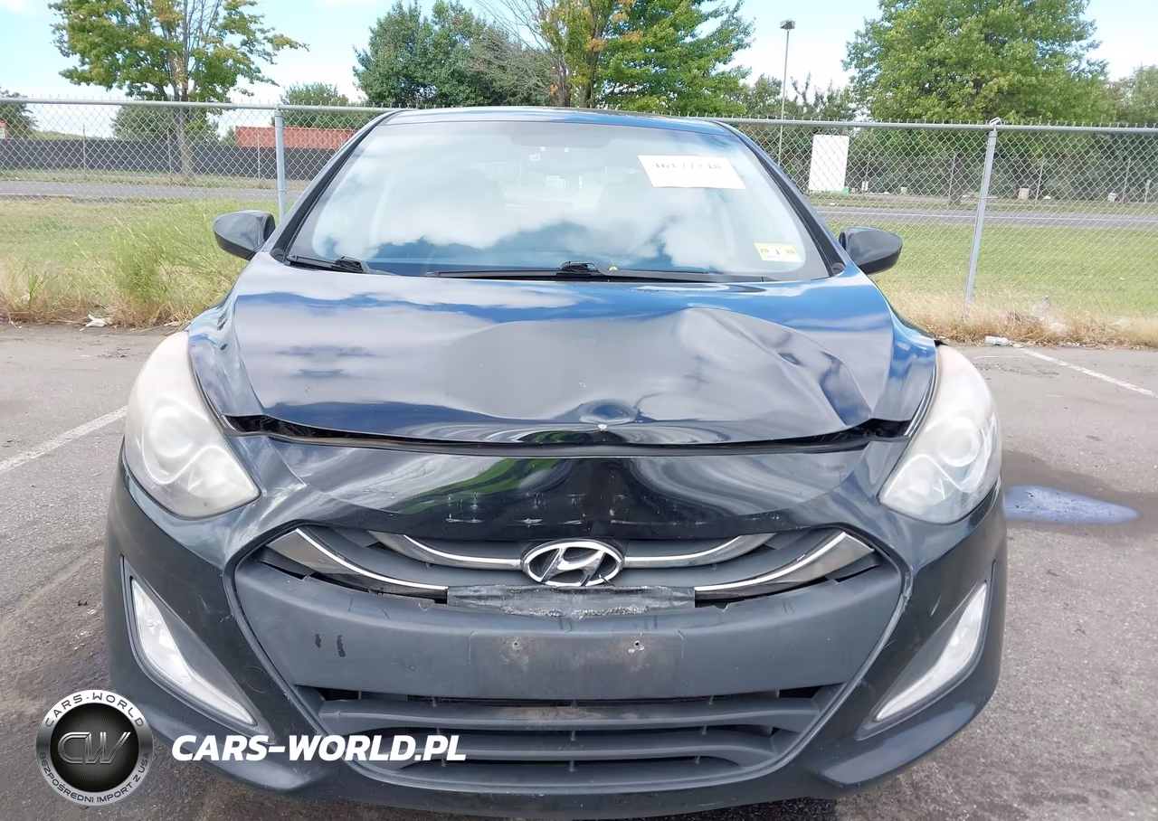 2013 Hyundai Elantra Gt VIN:KMHD35LEXDU125465 - 12