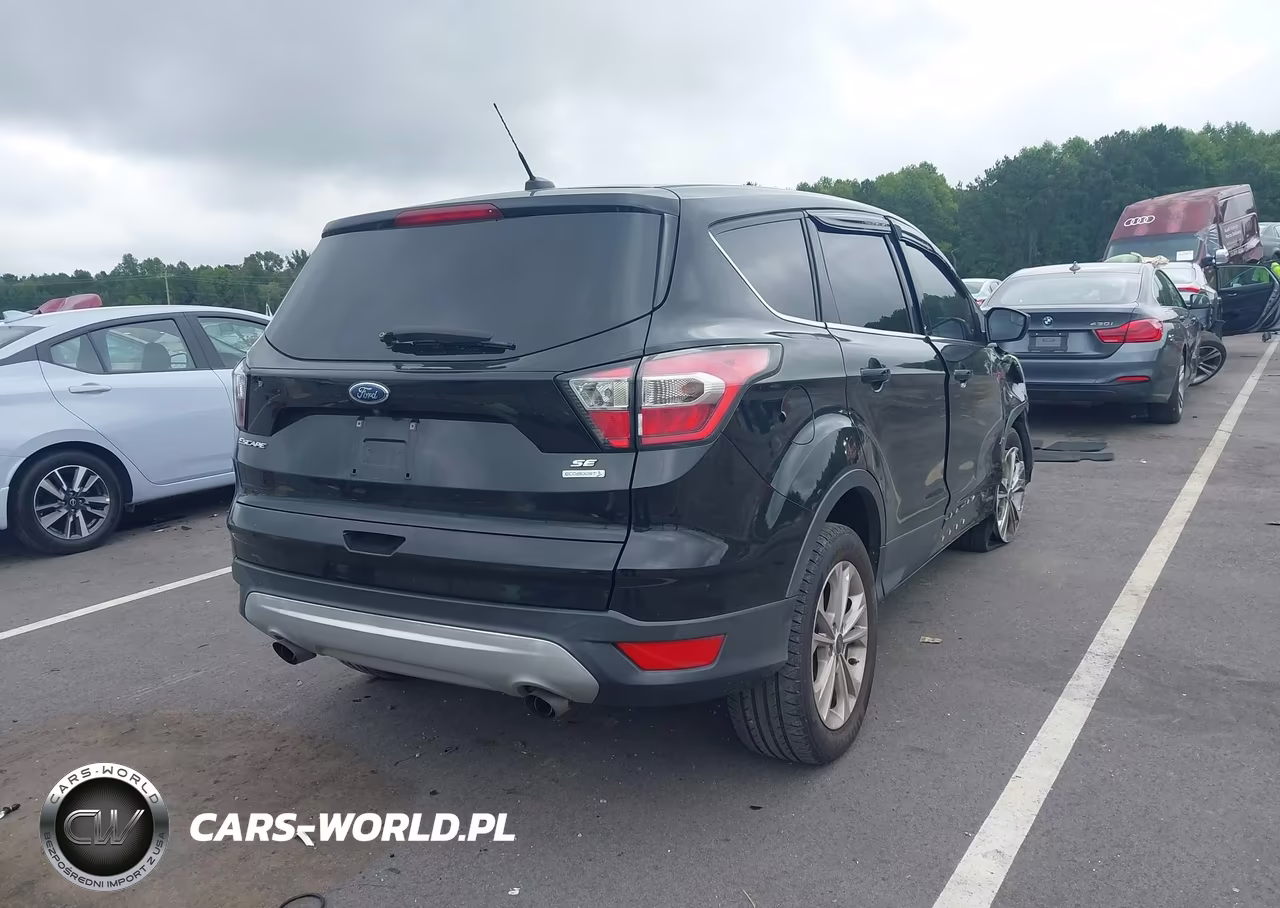 2017 Ford Escape Se VIN:1FMCU0GD4HUA76461 - 4