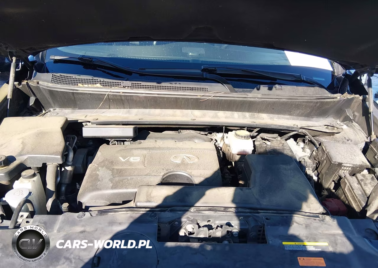 2019 Infiniti Qx60 Pure VIN:5N1DL0MN3KC564396 - 10