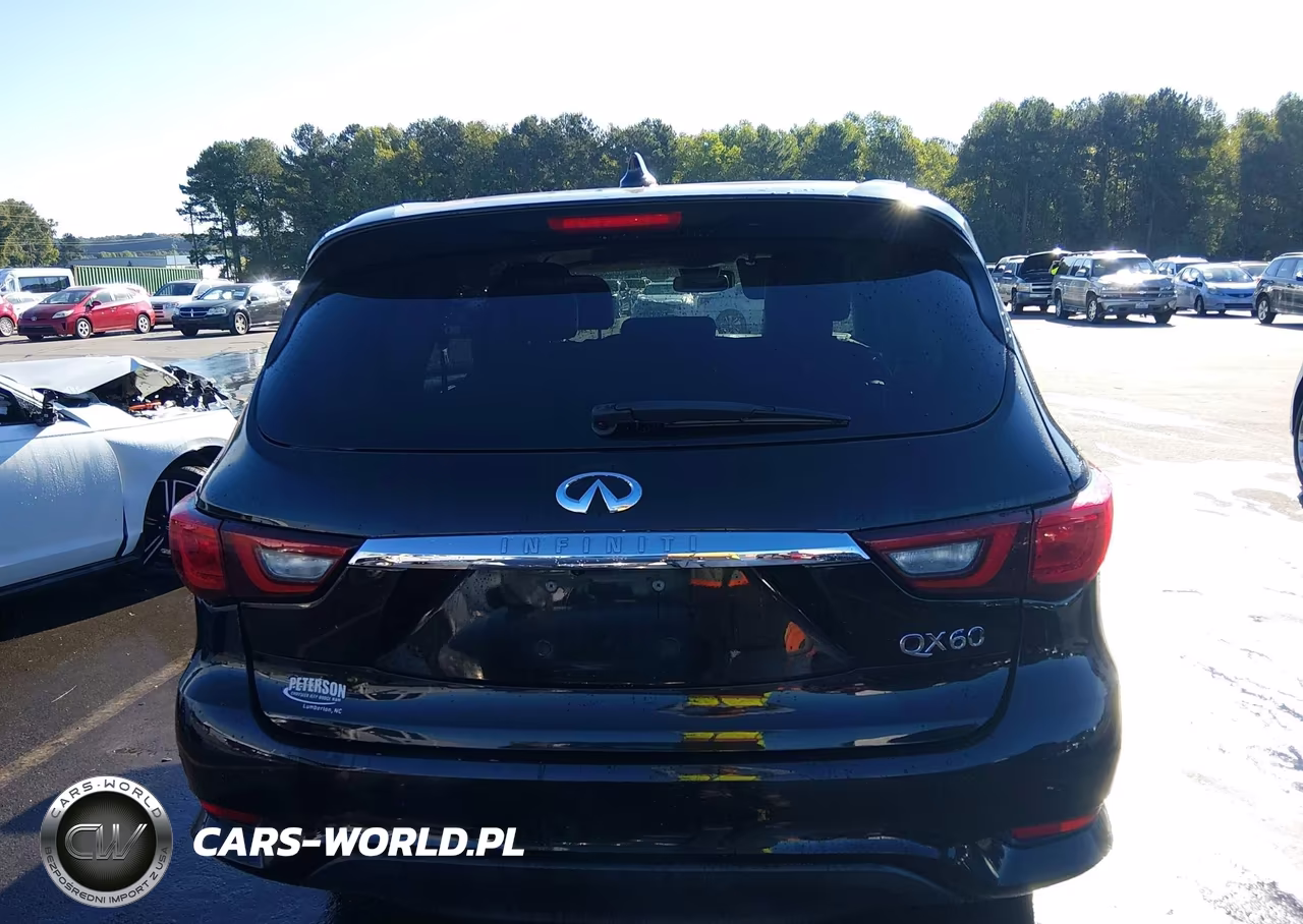 2019 Infiniti Qx60 Pure VIN:5N1DL0MN3KC564396 - 16