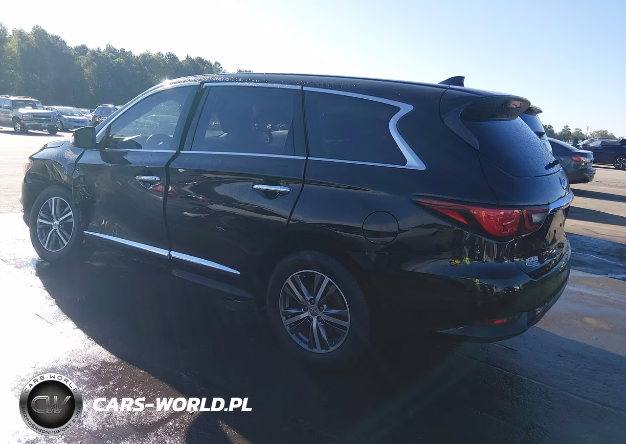 2019 Infiniti Qx60 Pure VIN:5N1DL0MN3KC564396 - 3