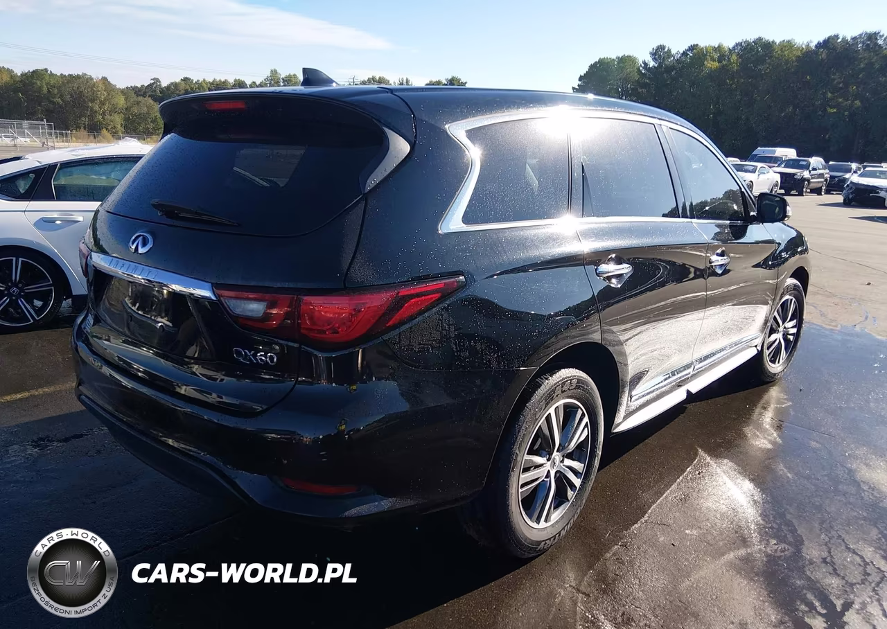 2019 Infiniti Qx60 Pure VIN:5N1DL0MN3KC564396 - 4