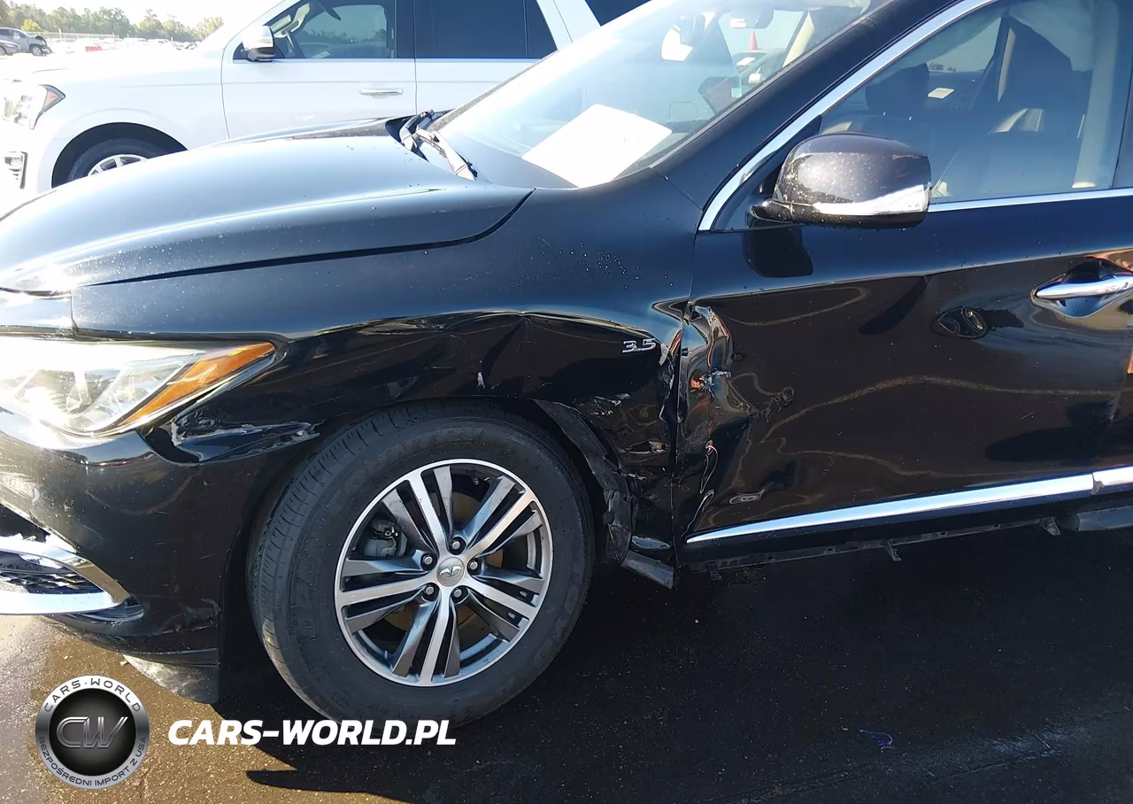 2019 Infiniti Qx60 Pure VIN:5N1DL0MN3KC564396 - 6