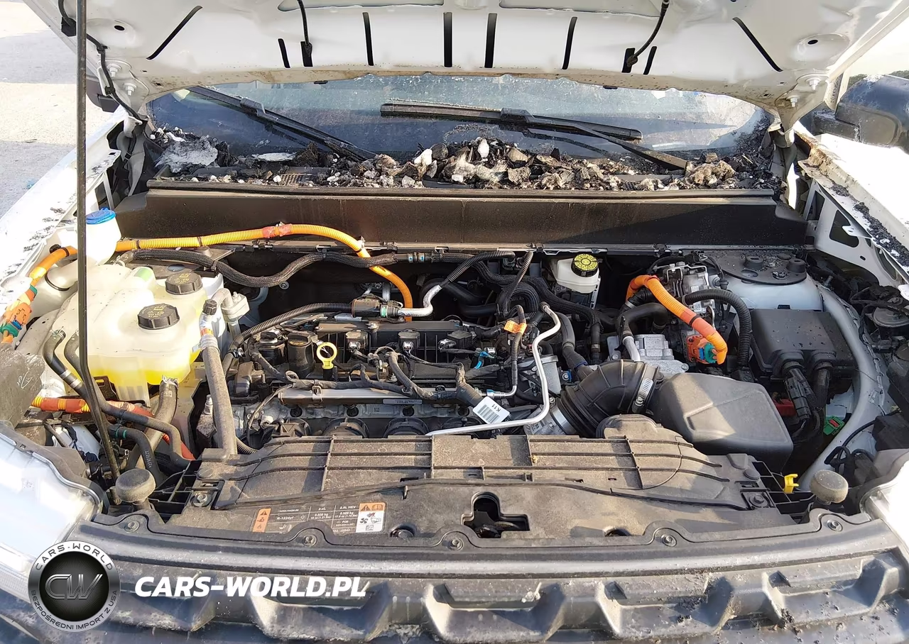 2024 Ford Maverick Xl VIN:3FTTW8A31RRA78481 - 10