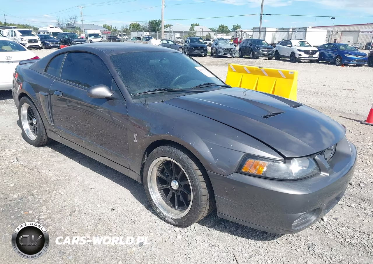 2003 Ford Mustang 10Th Anniversary Package-Cobra