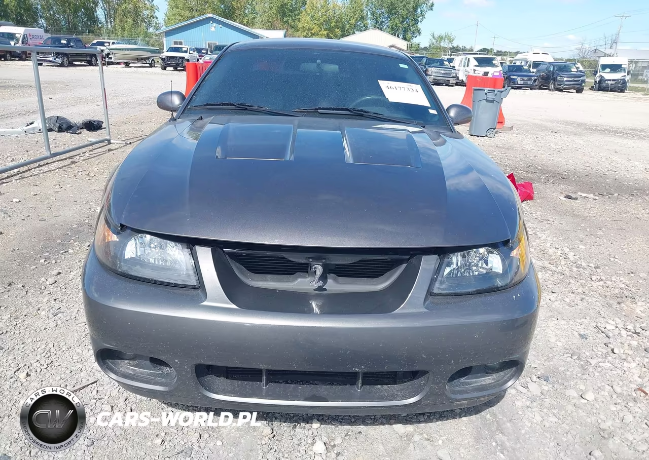 2003 Ford Mustang 10Th Anniversary Package-Cobra VIN:1FAFP48Y53F387899 - 12